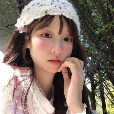 监察局长